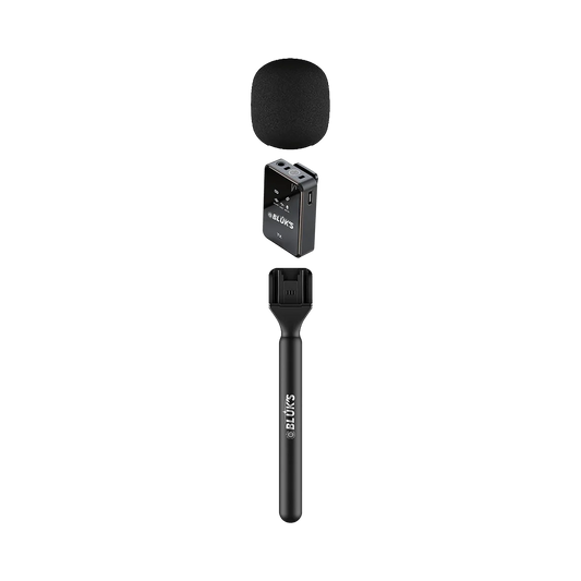 BLUK'S BX-222 Dual Wireless Microphone System