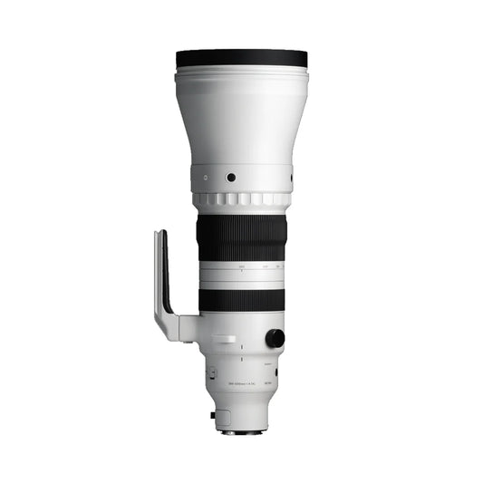 Sigma 300-600mm F4 DG OS Sports Professional Super-Telephoto Zoom Lens