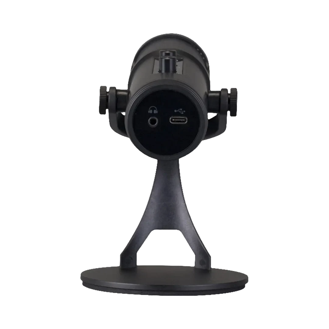 BLUK'S BX-120 Wireless Microphone System